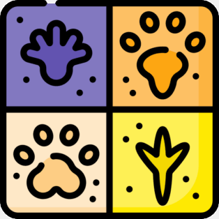 SDGs 日誌二：SDGs15 【陸域生態】台灣原生寶藏